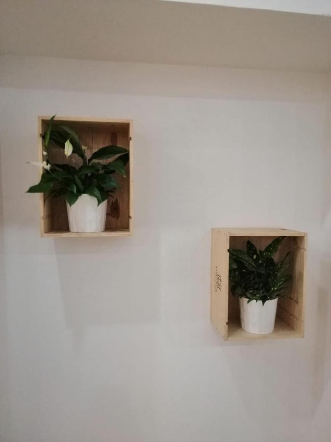 Apartamento Luna De Noviembre Малага Екстериор снимка
